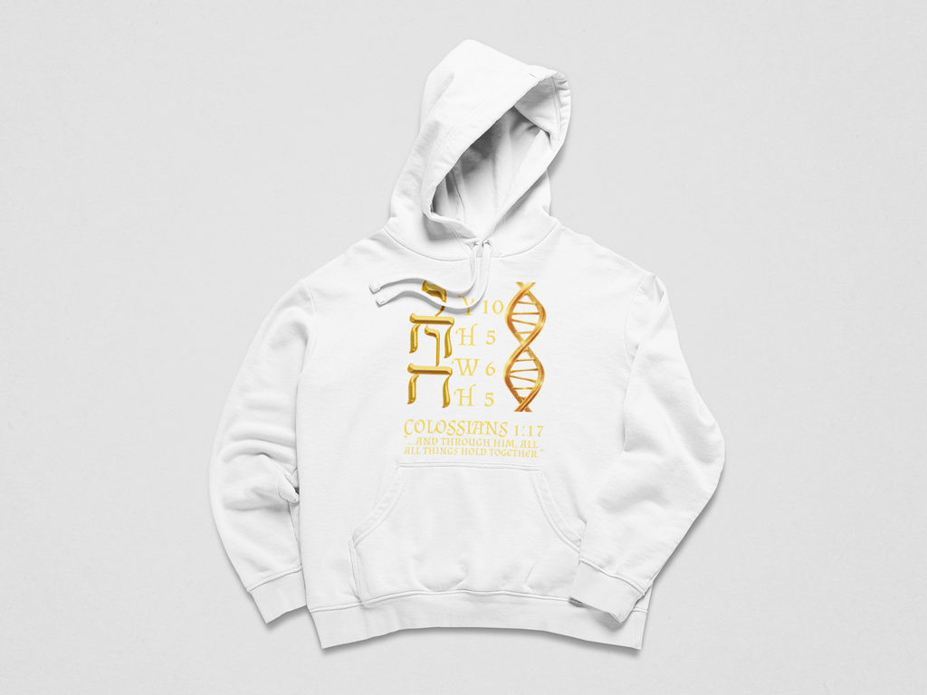 DEVINE CODE HOODIE