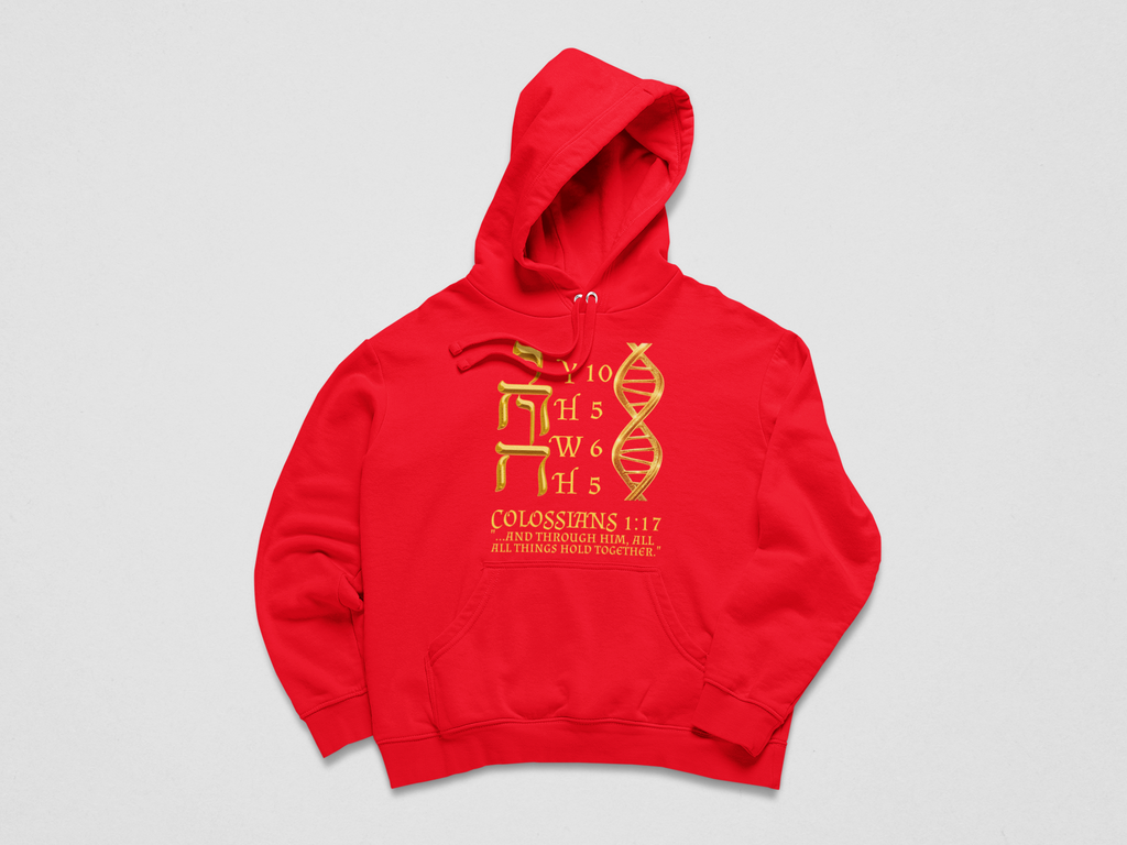 DEVINE CODE HOODIE